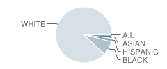 Royal Oak Middle School Student Race Distribution