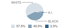 Lakeside Academy Student Race Distribution