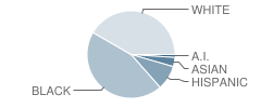 Battle Creek Central High School Student Race Distribution