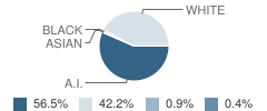 Lasalle High School Student Race Distribution