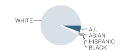 Marquette High School Student Race Distribution