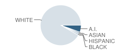 Sandy Knoll School Student Race Distribution