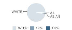 Superior Central School Student Race Distribution