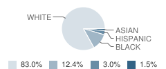 Summit Academy Student Race Distribution