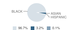 Chandler Park Academy Student Race Distribution