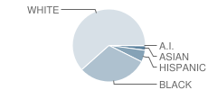 Summit Academy North High School Student Race Distribution