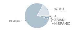 West Village Academy Student Race Distribution