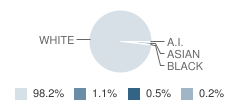 Alpena High School Student Race Distribution