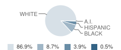 Macdonald Elementary School Student Race Distribution