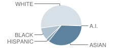 Thurston Elementary School Student Race Distribution