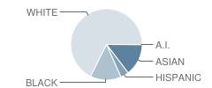 Pioneer High School Student Race Distribution