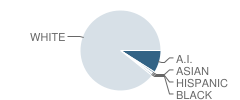 Bark River-Harris High School (Junior / Senior) Student Race Distribution