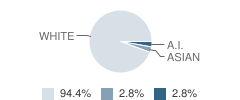Beaver Island Community School Student Race Distribution