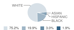 Pattengill School Student Race Distribution