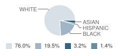 Wylie E. Groves High School Student Race Distribution