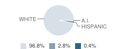 Breckenridge High School Student Race Distribution