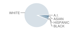 Lindbom Elementary School Student Race Distribution