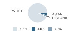 Burr Oak High School Student Race Distribution