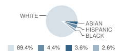 Byron Center High School Student Race Distribution