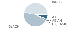 Carman-Ainsworth Middle School Student Race Distribution