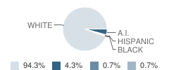 Carney-Nadeau School Student Race Distribution