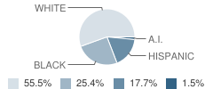 Carrollton Middle School Student Race Distribution