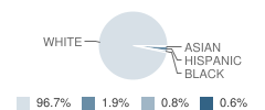 Carson City High School Student Race Distribution