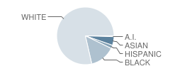 Wolfe Middle School Student Race Distribution