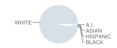 Clare High School Student Race Distribution