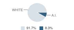 Big Burning School Student Race Distribution