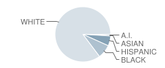 Coloma Junior High School Student Race Distribution