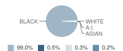 Edward (Duke) Ellington Conservatory of Music / Art School Student Race Distribution