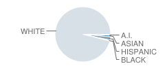 Doyle Knight School Student Race Distribution