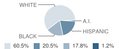 Eau Claire Middle-High School Student Race Distribution