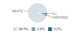 Montabella High School Student Race Distribution