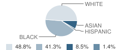 Wood Creek Elementary School Student Race Distribution