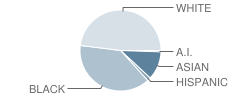 Fitzgerald High School Student Race Distribution