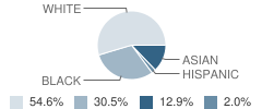 Mound Park Elementary School Student Race Distribution
