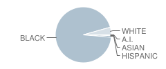 Scott School Student Race Distribution