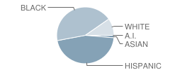 Central High School Student Race Distribution