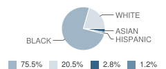 Beacon Elementary School Student Race Distribution