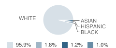 Hillsdale High School Student Race Distribution