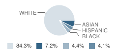 Midway Elementary School Student Race Distribution