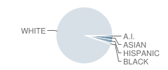 Holton High School Student Race Distribution