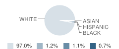 Ida High School Student Race Distribution