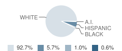 Ithaca High School Student Race Distribution