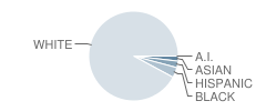 Lake Orion Community High School Student Race Distribution