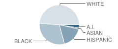 Lyons School Student Race Distribution