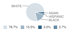 Bessie Hoffman Elementary School Student Race Distribution