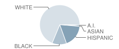 Lincoln Park Middle School Student Race Distribution